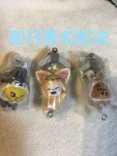 SKZOOつまんでつなげてマスコット ポガリ ジニレット クオッカ