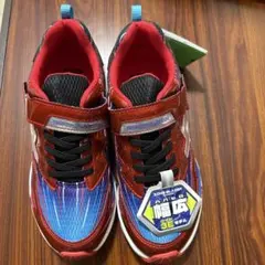 みぃ様専用　　ZONE BLAZER Vスポーツターボ 21.0cm