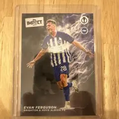 Item thumbnail for item 2df1983d-0aa5-42b5-84a9-0386039c0d01