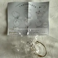 Item thumbnail for item 75657843-a198-4c11-ac94-000098671c19