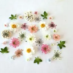 ドライフラワー詰め合わせ　花材 ピンク系　　(157)