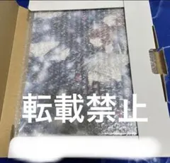 ヴァンパイア騎士 キャンバスアート 4 完結 LaLaDX 白泉社 枢 優姫 零