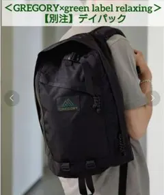 【美品】GREGORY × green label relaxing デイパック