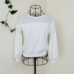 Allamanda ドットチュール　レース　刺繍　ドッキングカットソー　ホワイトのサムネイル