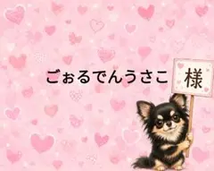 かわいい♡チワワちゃん 巾着袋☆外ポケット☆大きめ - メルカリ