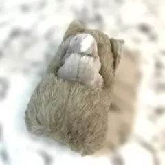 Item thumbnail for item 5ab51ab3-839d-40c0-8dd5-333cfcfad3ff