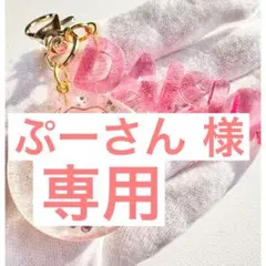 ぷーさん様●スノキーホルダー/チャーム