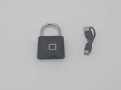 Item thumbnail for item 2a3b1cb0-0f52-4c0e-9729-89bcfeba0f36