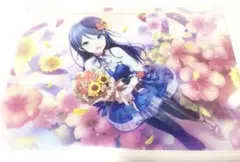 プロジェクトセカイプロセカバースデークリアファイル星乃一歌