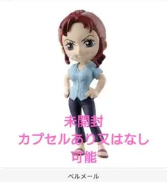 ワンピの実　第二十四海戦　ベルメールさん　1体