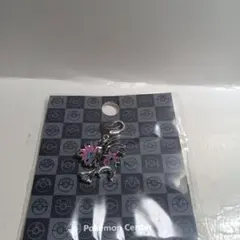 ポケモンメタルチャーム　テツノコウベ☆