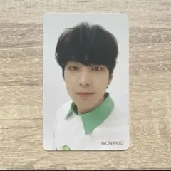 seventeen ウォヌ　トレカ　hmv