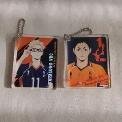 [別売り可能]　ハイキュー!! 烏野　月島蛍、澤村大地アクリルキーホルダーセット