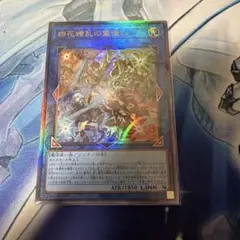 遊戯王 四花繚乱の霊使い （しかりょうらんのれいつかい）アルティメット　レリーフ