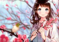 抹茶様 リクエスト 10点 まとめ商品