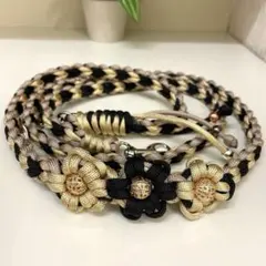 Item thumbnail for item 7deb42ef-e0fa-4f7e-a825-db8a5afe4590