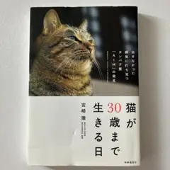 猫が30歳まで生きる日