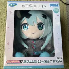 プロセカ 映画 ラストラッキー賞 初音ミク ぬいぐるみ クリアファイルセット