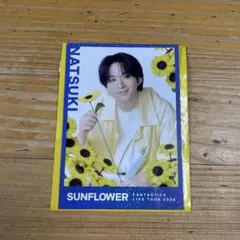 澤本夏輝 フォトカ - メルカリ