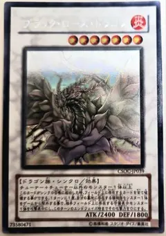 ミ*ー様 ブラック・ローズ・ドラゴン　ホログラフィックレア　ARS9 ミ*ー様 ブラック・ローズ・ドラゴン ホログラフィックレア ARS9