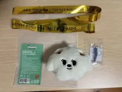 TXT プルバトゥ　バムグッ コインポーチ　ボムギュ　⭐︎金テープおまけ付き