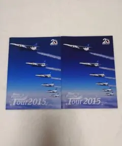 希少 ブルーインパルス 2008 Tour パンフレット - メルカリ