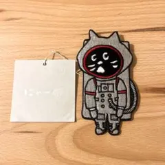 Item thumbnail for item 43ad15ad-ba5e-4f09-ab15-a326f9511eb4