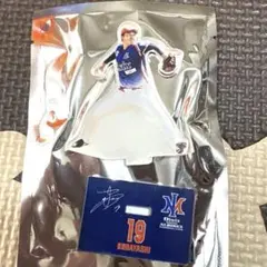 オイシックス新潟アルビレックスBC 　アクスタ　　 小林慶祐