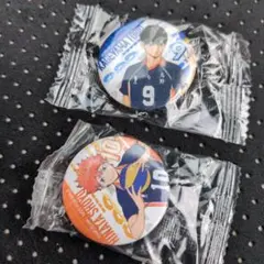 影山飛雄・日向翔陽 ピンバッジセット