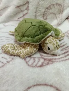 沖縄美ら海水族館　ウミガメ　ぬいぐるみ