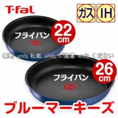 Item thumbnail for item 9f30314a-401a-4a2b-99ea-e64cce2af1df