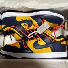 NIKE DUNK LOW off white 30cm