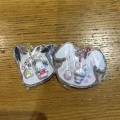 サンリオ　パッケージチャーム　ポチャッコ　ウィッシュミーメル