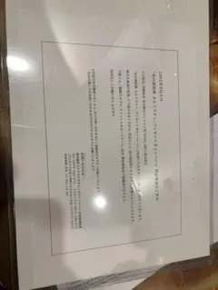 RADWIMPS 野田洋次郎 ウイスキーがお好きでしょ レコード プレイヤー