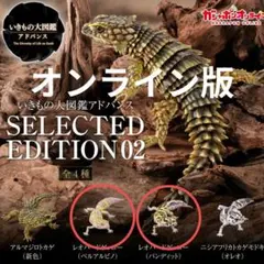 いきもの大図鑑アドバンス レオパード　アルマジロトカゲ