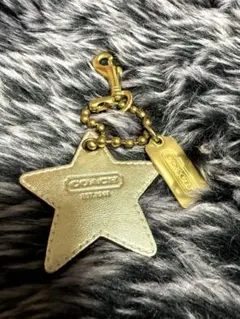 COACH 星型チャーム キーホルダー 2026年最新】COACH キーホルダー 星の人気アイテム - メルカリ
