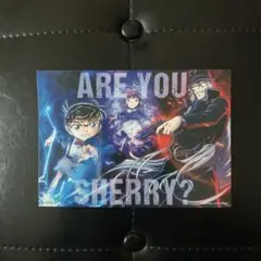 名探偵コナン 劇場版 黒鉄の魚影 ステッカー くろがねのサブマリン