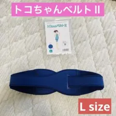 Item thumbnail for item 76883d13-de22-4953-ab17-c9749eb6169f