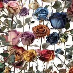 ステッカー　アンティークローズ　50枚　バラのシール　薔薇　コラージュ素材