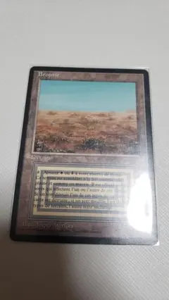 MTG Scrubland フランス語 FBB - メルカリ