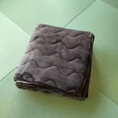 カインズ シングルサイズ 敷きパッド