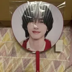 1st DOME LIVE VoyAGE なにわ男子 道枝駿佑 うちわ