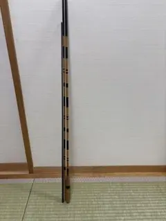 Item thumbnail for item d4aa9f86-9d4c-422c-90b5-bda99b1e2f42