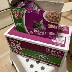 Item thumbnail for item 4c45e211-cc91-4573-98c8-aa9a3b42eabc