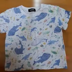kladskap クレードスコープ 半袖Tシャツ 90cm 海の生き物のサムネイル