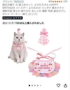 강아지와 고양이 생일 애완 동물 모자와 두건 세트