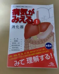 【最安値】病気がみえる vol.1 消化器 第6版