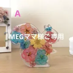 固まるハーバリュウム♡りすの置き物