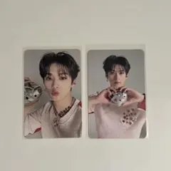 StrayKids maxident リノ トレカ