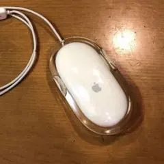 apple mouse